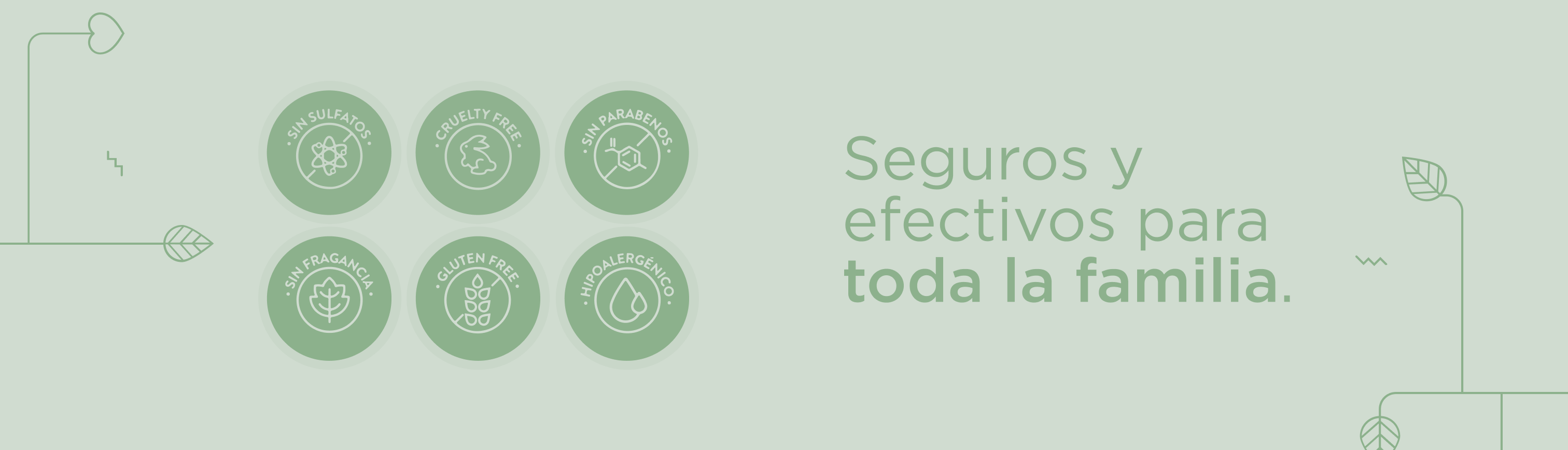 MOMLAB Seguros y efectivos